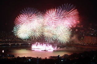 火树银花不夜天 2016世界烟花庆典绚丽礼赞