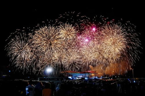 上栗代表队金坪烟花斩获银奖，萍乡烟花绽放璀璨光芒